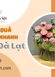 Giao hoa quả trái cây nhanh tận nơi Đà Lạt – Tươi ngon, giá tốt mỗi ngày