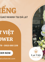 Shop đặt hoa viếng đẹp, trang nhã và giao nhanh tại Đà Lạt