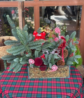 Trang Trí Giáng Sinh