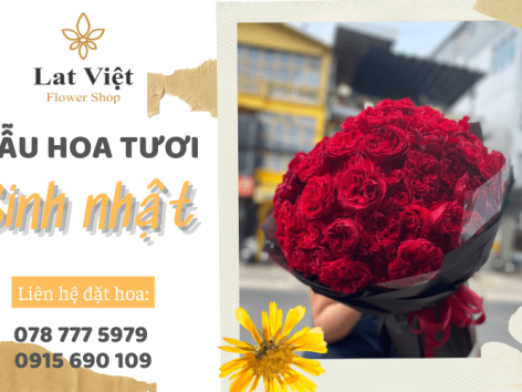 Shop Giao Hoa Tươi Đẹp Tại Đà Lạt – Nơi Gửi Gắm Yêu Thương Qua Những Đóa Hoa