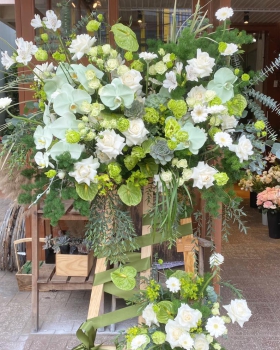 Kệ Hoa Khai Trương, Kệ Hoa Chúc Mừng - Kệ Hoa Tươi LV-0138