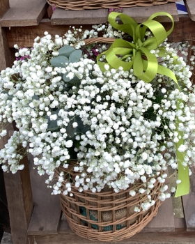 Giỏ Hoa Chúc Mừng, Giỏ Hoa Khai Trương - Giỏ Hoa Tươi LV-0221