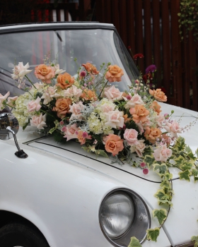 Xe Hoa - Hoa Tươi LV 8536