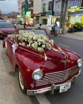 Hoa Cưới - Xe Hoa LV335