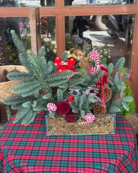 Trang Trí Giáng Sinh