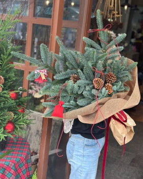 Trang Trí Hoa Giáng Sinh