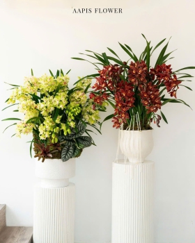 Lan Hồ Điệp Mẫu Mới - LV005