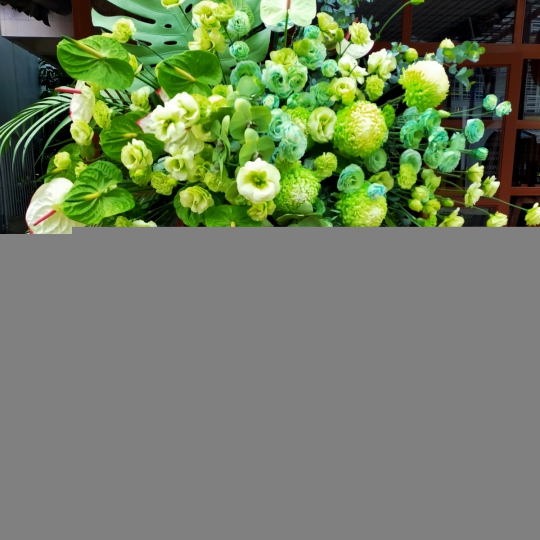 Kệ Hoa Khai Trương - Kệ Hoa Tươi