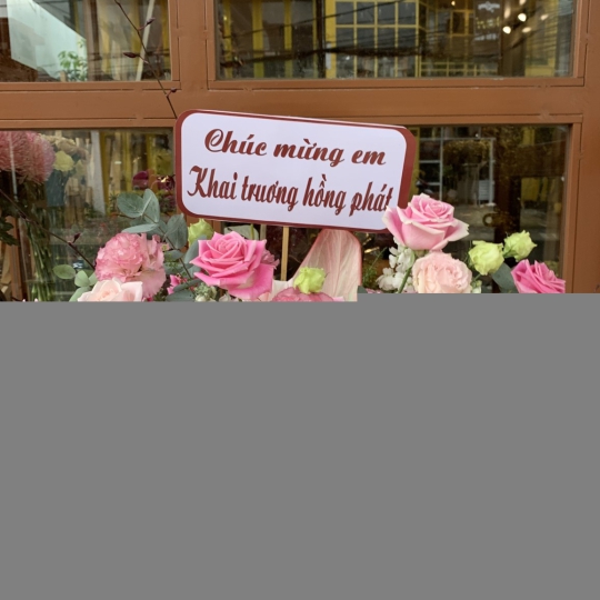 Hoa Tươi Mừng Khai Trương LV-566