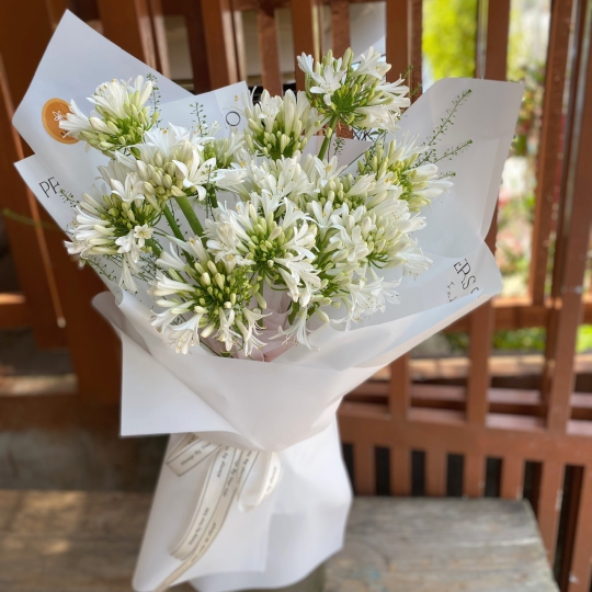 Bó Hoa Tươi Chúc Mừng Sinh Nhật - S9035