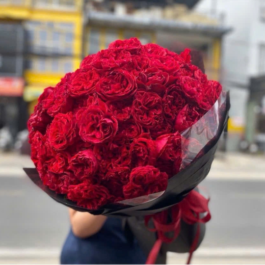 Bó Hoa Tươi Chúc Mừng - Hoa Hồng Tình Yêu TN02