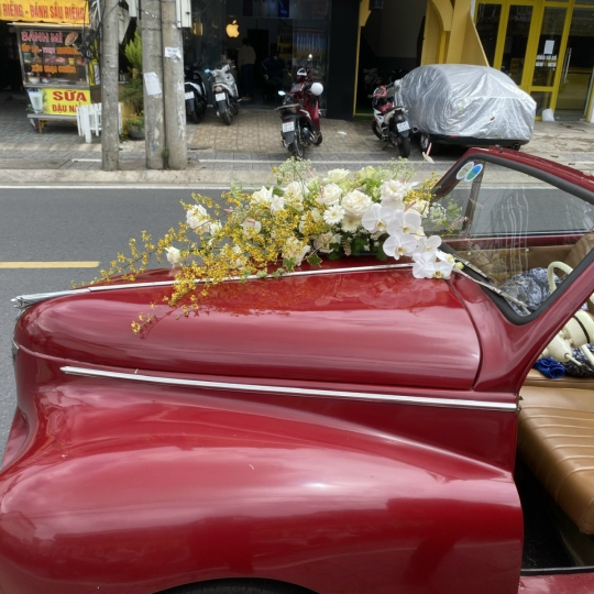 Hoa Cưới - Xe Hoa LV246